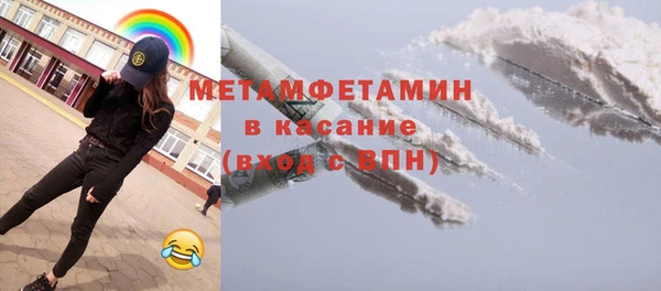 ПСИЛОЦИБИНОВЫЕ ГРИБЫ Вяземский