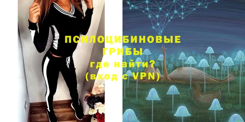 Псилоцибиновые грибы MAGIC MUSHROOMS Алексин